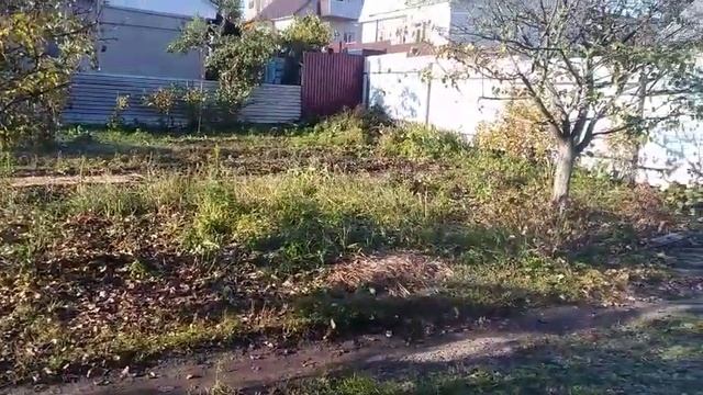 Осень,чудная пора?//Стих наложенный под музыку//Очень красивое и душевное видео о осени...? смотреть онлайн