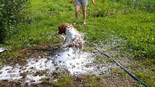 Любителям купаться в мазуте посвящается смотреть онлайн