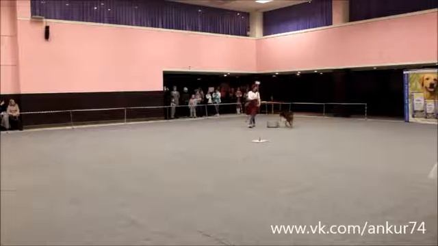 Светлана Дорохова и НО Рена (Челябинск) Дебют фристайл 3 место смотреть онлайн
