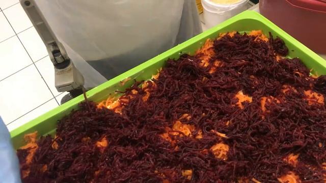 Сельдь под шубой по рецепту Перекрестка смотреть онлайн