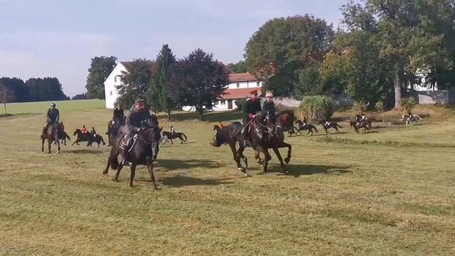 Schleppjagd Weißenhorn смотреть онлайн