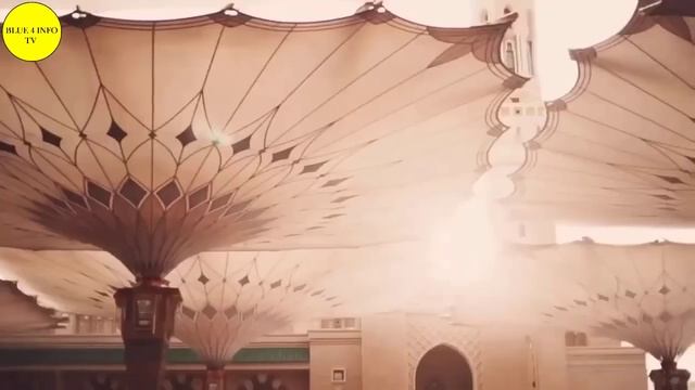 Travel To Saudi Arabia | Interesting Facts About Saudi Arabia In Urdu & Hindi | سعودی عرب کی سیر