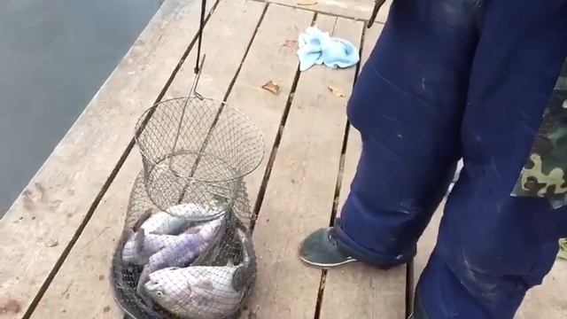 20.10.2018 форелевый улов верхний безлимитный пруд смотреть онлайн