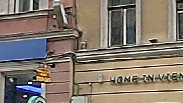 Коту монетки кидаю, он же памятник!!! смотреть онлайн