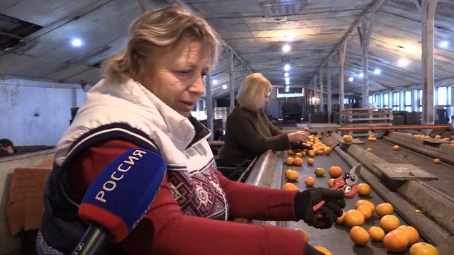 СЛАЩЕ ПРАЗДНИКА?ИЗ АБХАЗИИ смотреть онлайн