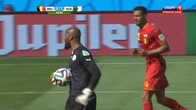 Бельгия - Алжир