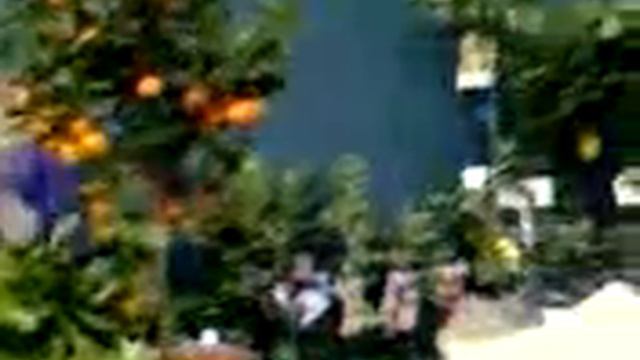 RHS Royal Horticultural Society Plant Flower Show symbol song '1st day xmas patridge in pear tree' смотреть онлайн