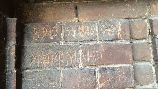 Коты.Хиромант.Красноярск.??