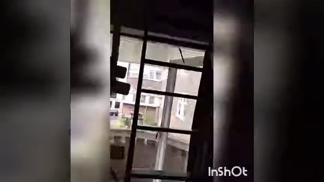 Rube goldberg project 1C mees en ole смотреть онлайн