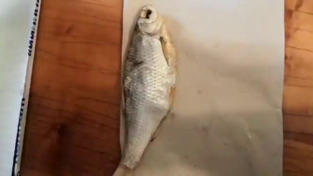 Распаковка. ВОБЛА АСТРАХАНСКАЯ!! смотреть онлайн