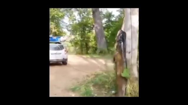 ВОТ ЭТО УЛЁТНАЯ РЫБАЛКА 2018 Вот это приколы на рыбалке #27 смотреть онлайн