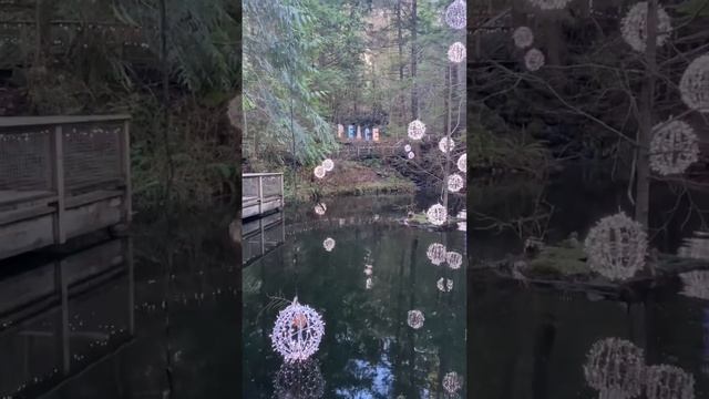 Capilano Suspension Bridge Vancouver British Columbia Canada | Travel in Canada | Beautiful Canada смотреть онлайн