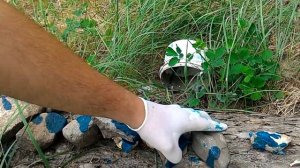 Как проверить камень на вкрапление ЗОЛОТА