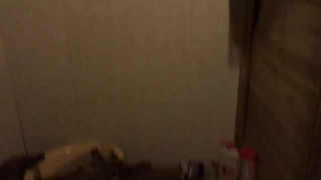 Россия Гараж с баней в городе с камином!! Garazh s baney s kaminom i tualetom!! смотреть онлайн