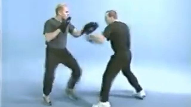 Dan Inosanto   Jeet Kune Do   Vol 1   Striking