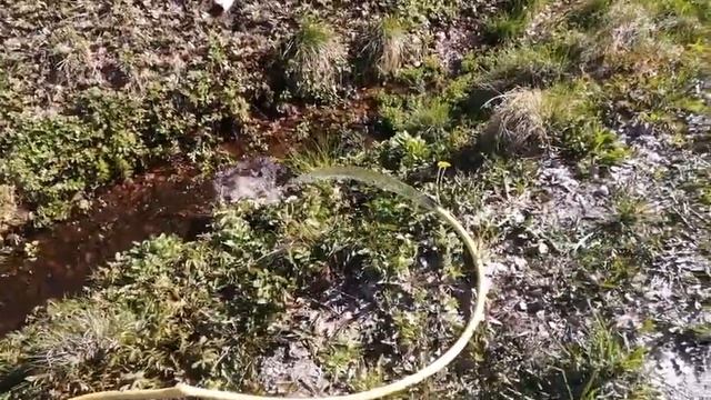 Абиссинская скважина в п. Моторное. смотреть онлайн