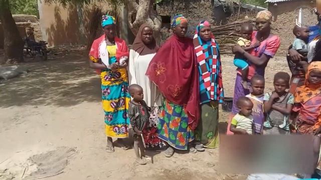 Puits №: 2986 (Niger) / Колодец №: 2986 (Нигер)