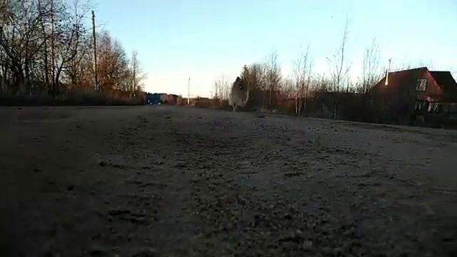 Последний день осенних каникул. смотреть онлайн