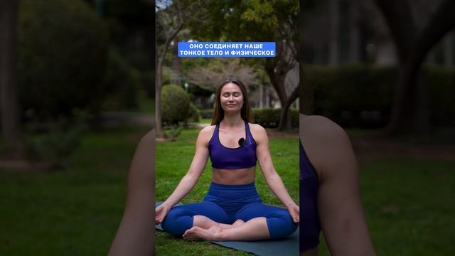 Основные принципы медитации. Ответ сразу! #упражнение #здороваяспина #растяжка смотреть онлайн