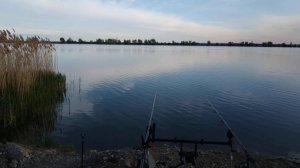 Прищепка для завоза прикормочным корабликом.