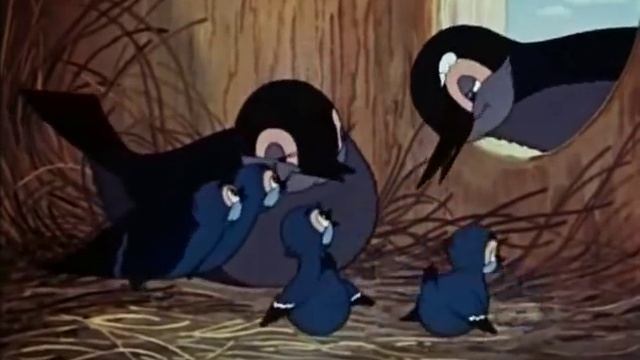 Lubimaya.skazka.Alenkiy.cvetochek.avi смотреть онлайн