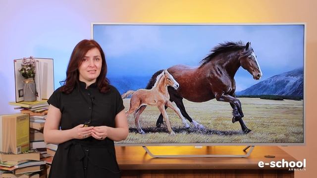 Գրականություն, Հրանտ Մաթևոսյան, «Կանաչ դաշտը»․ 7-րդ դասարան смотреть онлайн