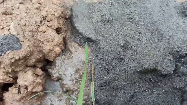 СНТ Ручеёк часть вторая.абиссинка на две тонны воды в час. п. Ставрово Владимирская область. смотреть онлайн