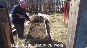 2020г ОБЫЧНЫЕ ВЫХОДНЫЕ. УБОРКА ВО ДВОРЕ. ДОМ В ДЕРЕВНЕ.  №67