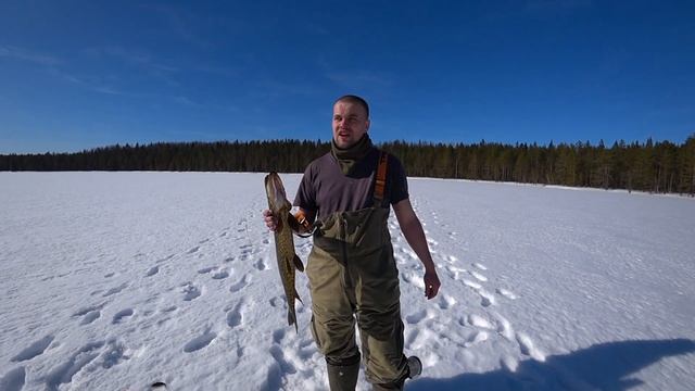 Зимняя рыбалка. Ловля на блесну. Хороший клёв на жерлицы. Часть 2. Поймали покусанную щука на 1.7кг смотреть онлайн