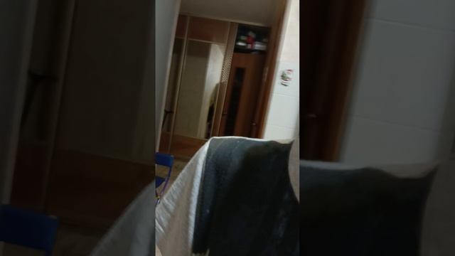 что мне снится часть 6 первая половина смотреть онлайн