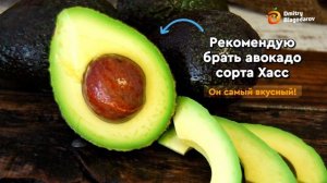 Салат из авокадо, помидор и рукколы