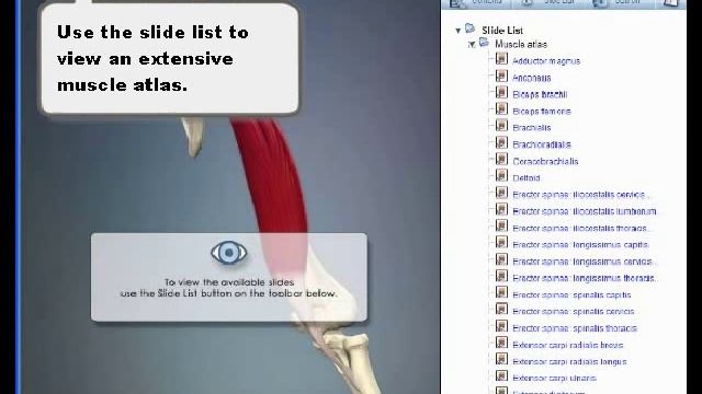 3D Interactive Anatomy for Pilates & Exercise смотреть онлайн