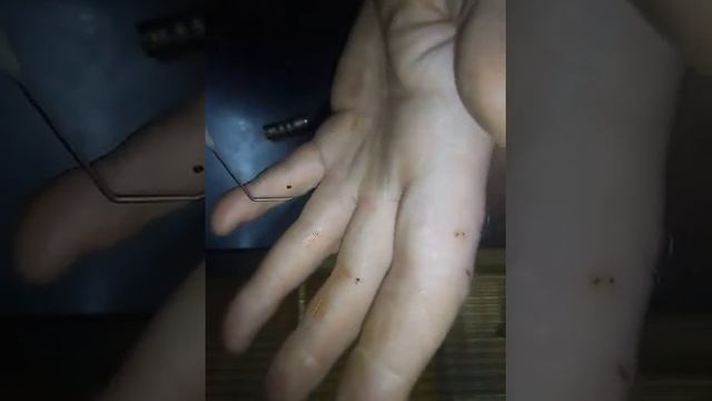 Разбор чистка электроклапана ванос бмв м62 смотреть онлайн