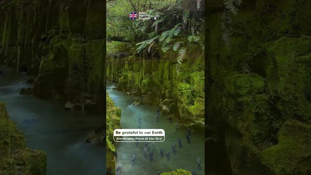 Be Grateful to Our Earth 💖 Poem of the day - Ep06 смотреть онлайн