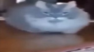 Мемные звуки