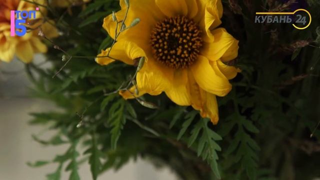 5 причин заниматься флористикой смотреть онлайн