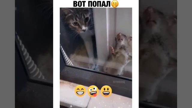 Спаси и сохрани.MP4