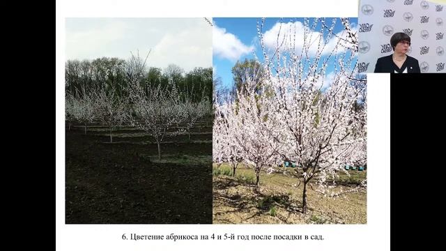 Открытые лекции ведущих ученых Воронежского ГАУ | Ноздрачева Р.Г. смотреть онлайн