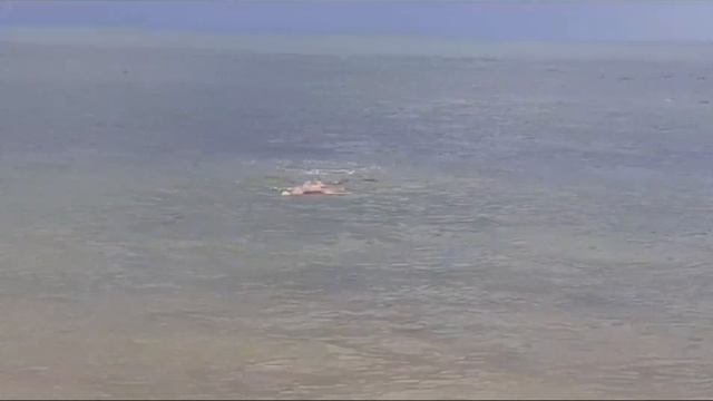 октябрь. Теплое море. смотреть онлайн