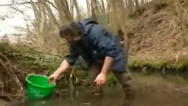 Добыча мотыля за пять минут. смотреть онлайн