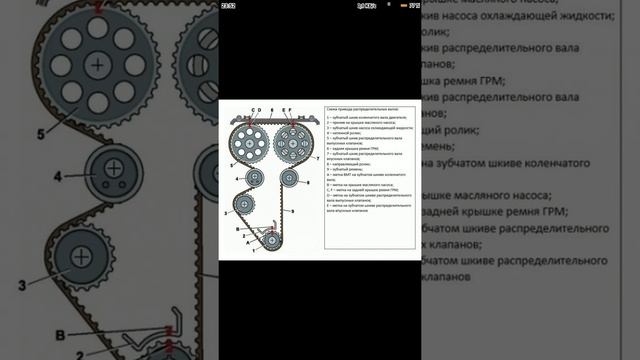метки ГРМ деу нексия 1.5 16кл DOHC смотреть онлайн