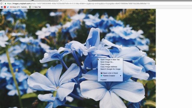 Instantly Create a Color Palette Based on Any Image смотреть онлайн