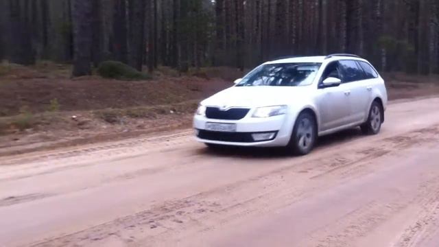 Skoda Octavia A7 emergency brake light смотреть онлайн