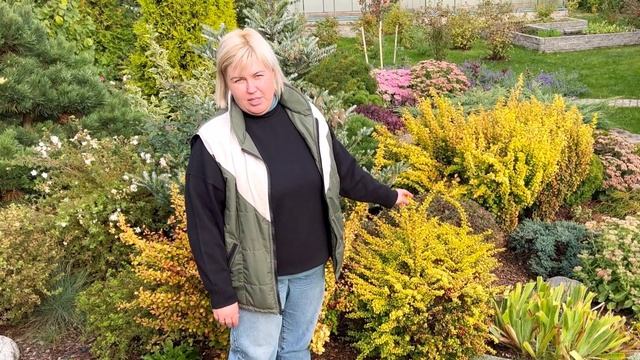 БАРБАРИС И ЕГО ВИДЫ | КАК УХАЖИВАТЬ смотреть онлайн