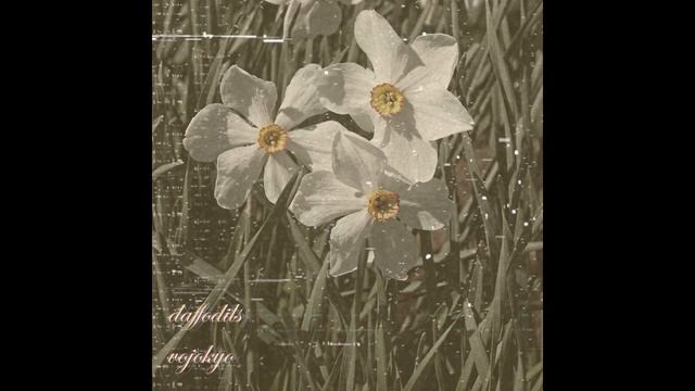daffodils смотреть онлайн