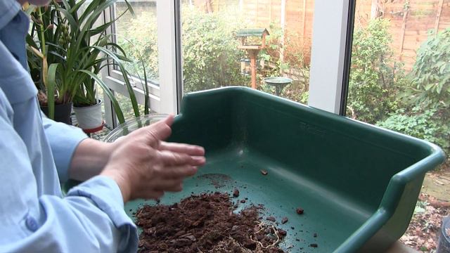 Repotting Phalaenopsis Orchids смотреть онлайн