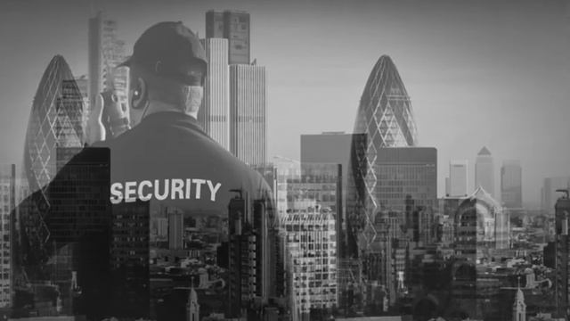 security vig grey 2 смотреть онлайн