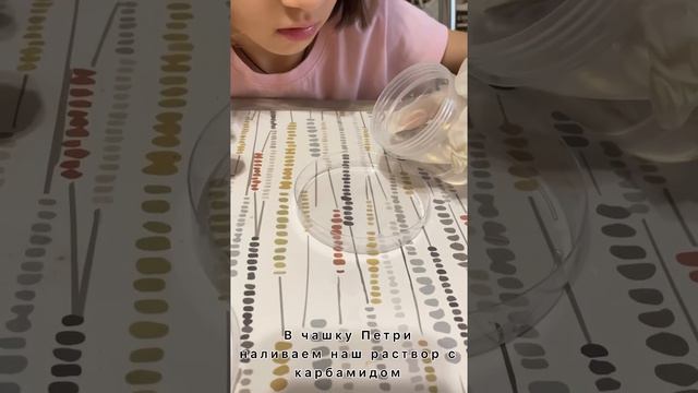 КАК СДЕЛАТЬ КРИСТАЛЛ В ДОМАШНИХ УСЛОВИЯХ? смотреть онлайн