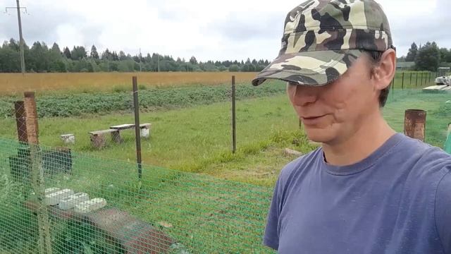 Как живу без жены в деревне. смотреть онлайн