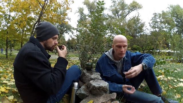 Завариваем пуэр в парке - Золотой дворцовый пуэр смотреть онлайн